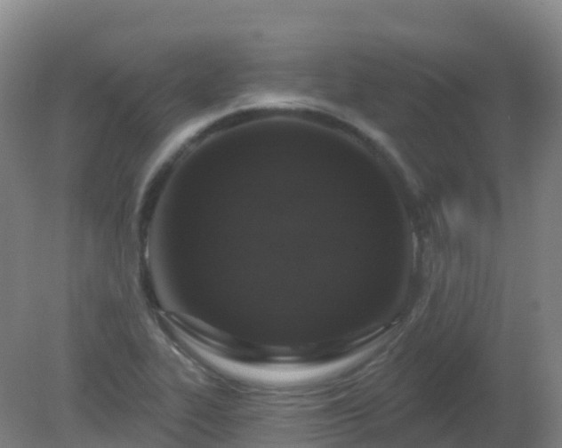 X0000081321319200701181918