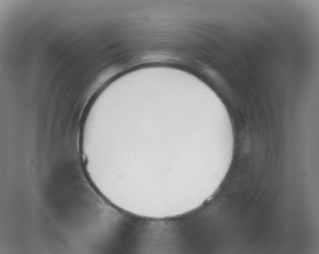 X0000081321322200701181918