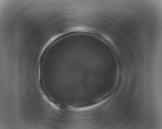 X0000081321323200701181918