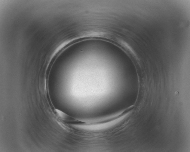 X0000081321324200701181918