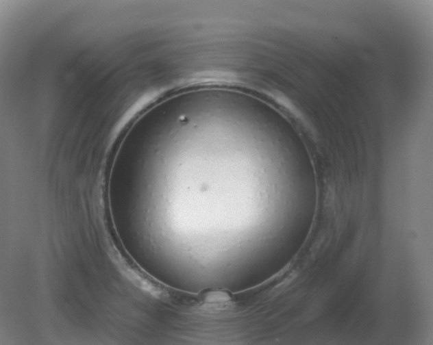 X0000081321325200701181918