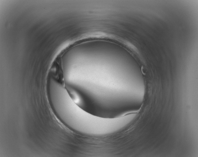 X0000081321326200701181918