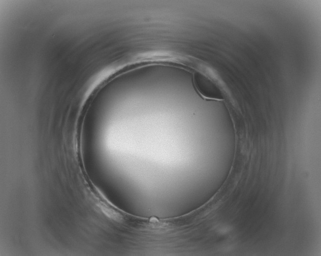 X0000081321328200701181918