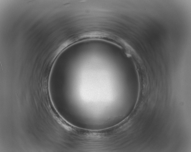 X0000081321329200701181918