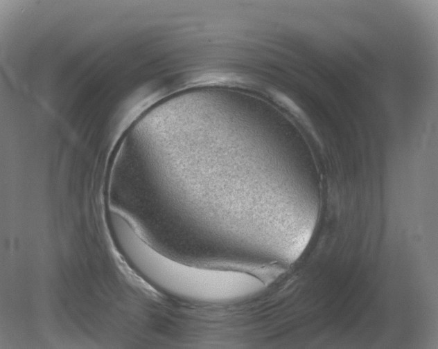 X0000081321330200701181918