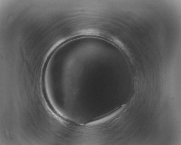 X0000081321331200701181918