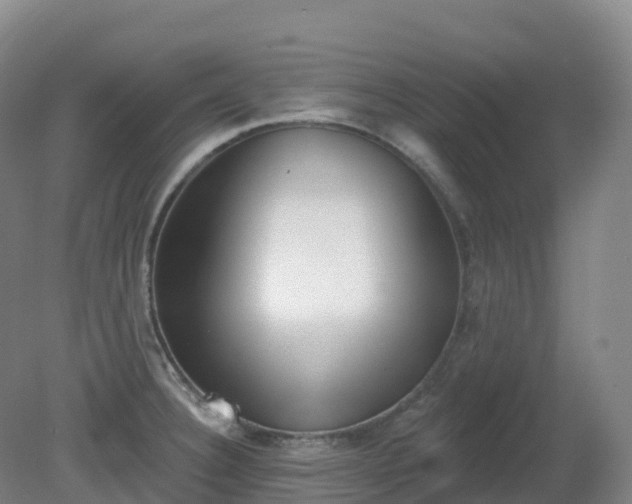 X0000081321332200701181918