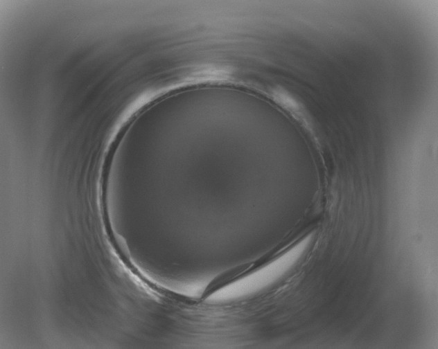 X0000081321334200701181918