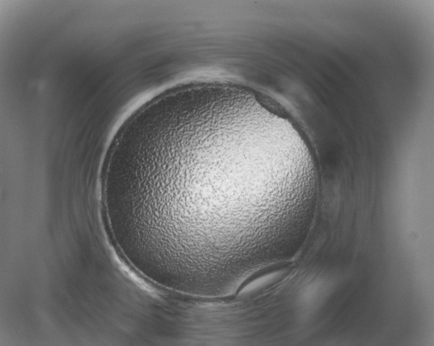 X0000081321335200701181918
