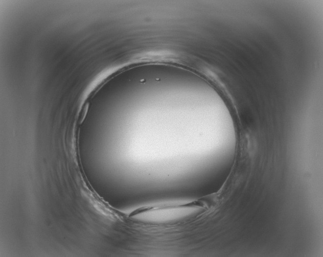 X0000081321336200701181918