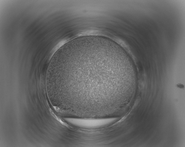 X0000081321337200701181918