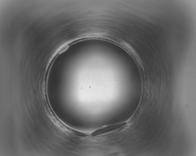X0000081321340200701181918