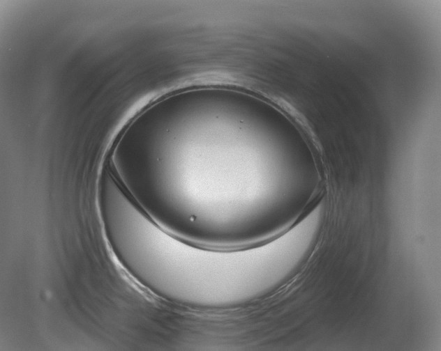 X0000081321342200701181918
