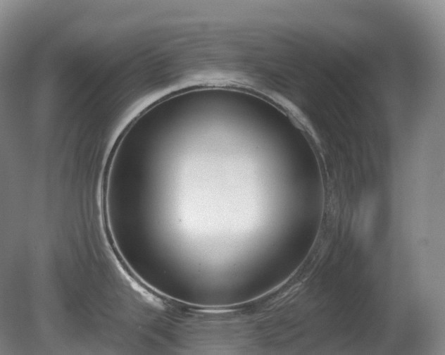 X0000081321343200701181918