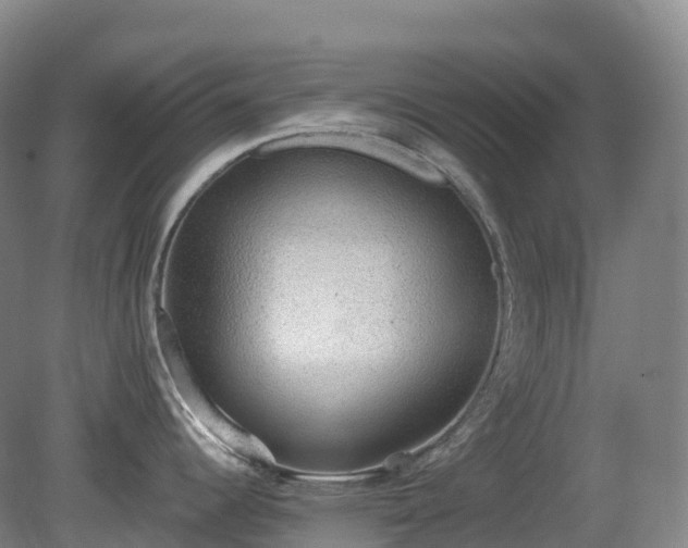 X0000081321344200701181918