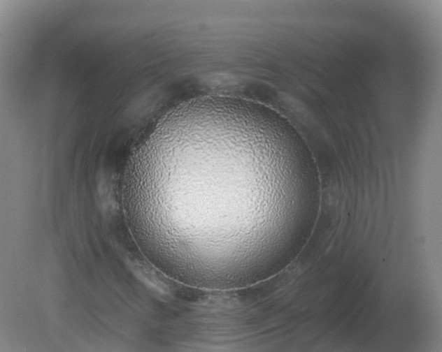X0000081321346200701181917
