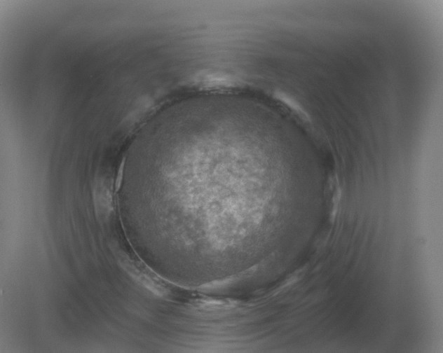 X0000081321348200701181917
