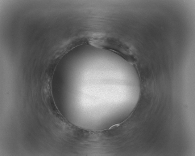 X0000081321349200701181917