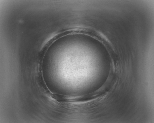 X0000081321352200701181917