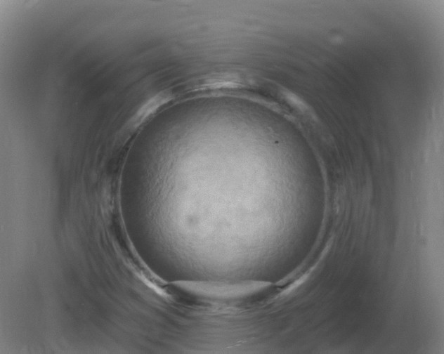 X0000081321353200701181917