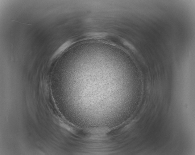 X0000081321354200701181917