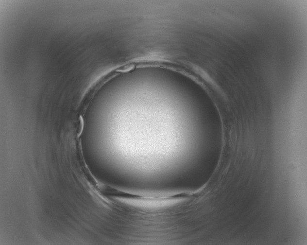 X0000081321356200701181917