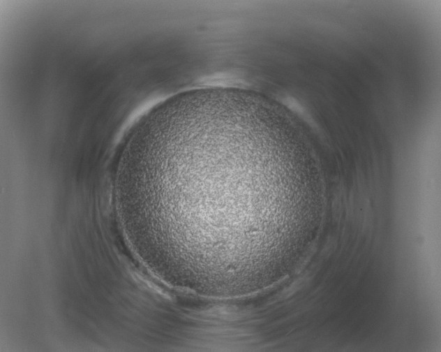 X0000081321358200701181917