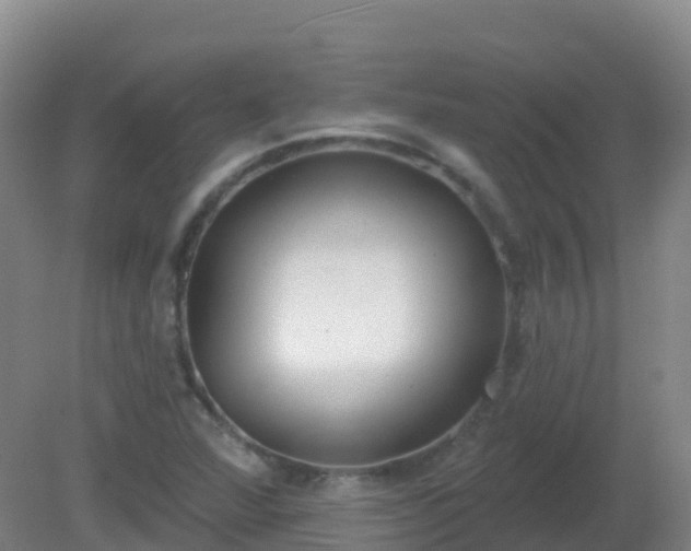 X0000081321360200701181917
