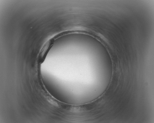 X0000081321364200701181917
