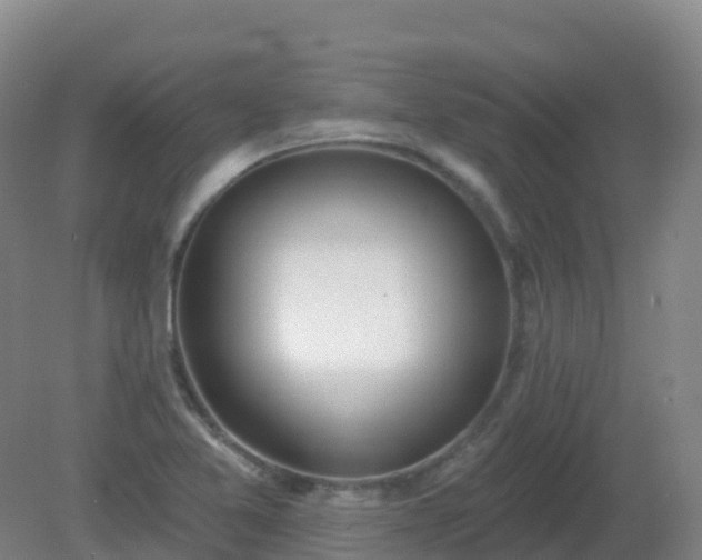 X0000081321365200701181917
