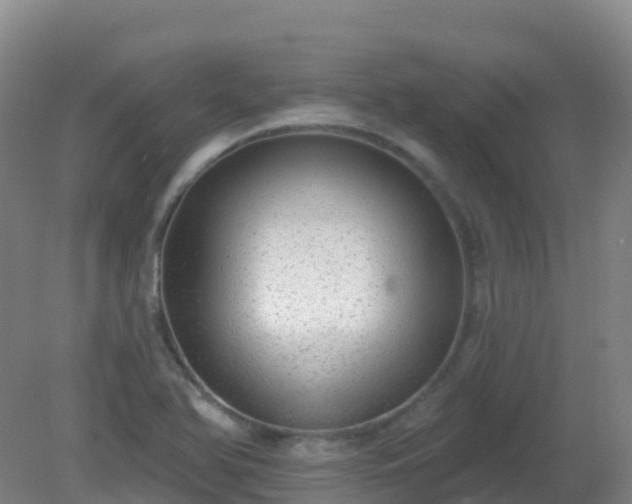 X0000081321366200701181917