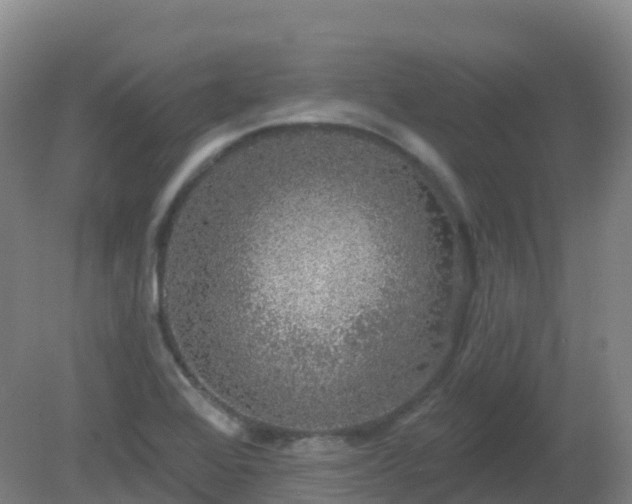 X0000081321368200701181917