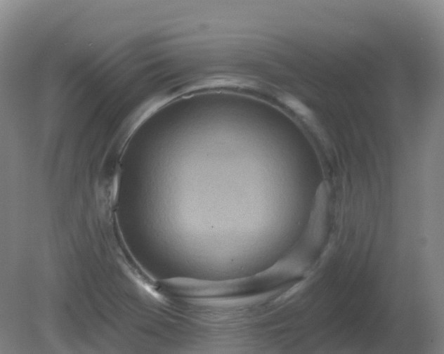 X0000081321369200701181917