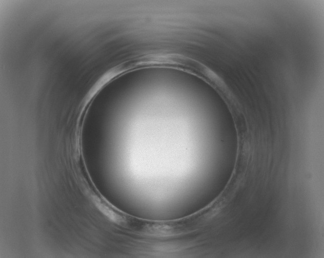 X0000081321370200701181917