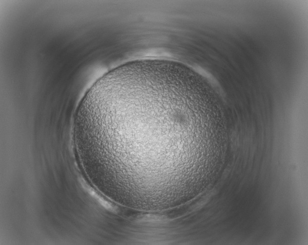X0000081321374200701181917