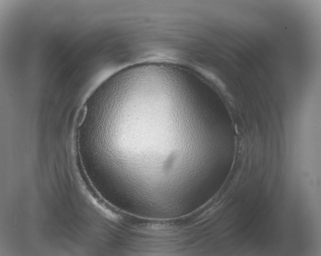 X0000081321375200701181917