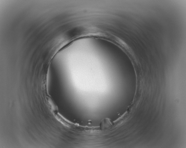 X0000081321377200701181917