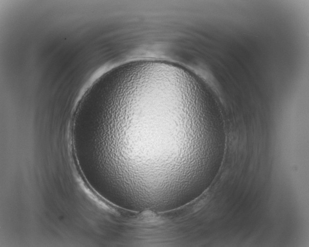 X0000081321382200701181917