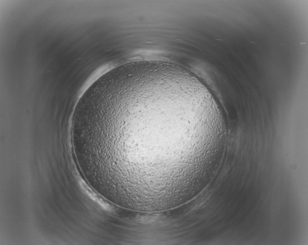 X0000081321386200701181917