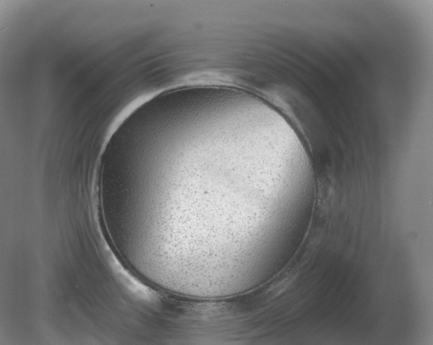 X0000081321387200701181917