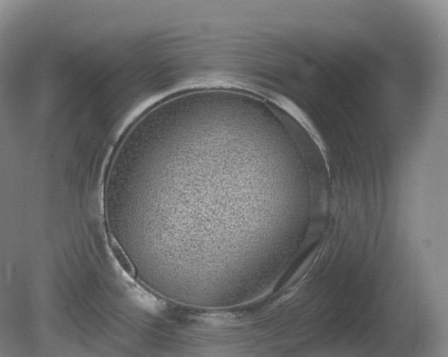 X0000081321388200701181917