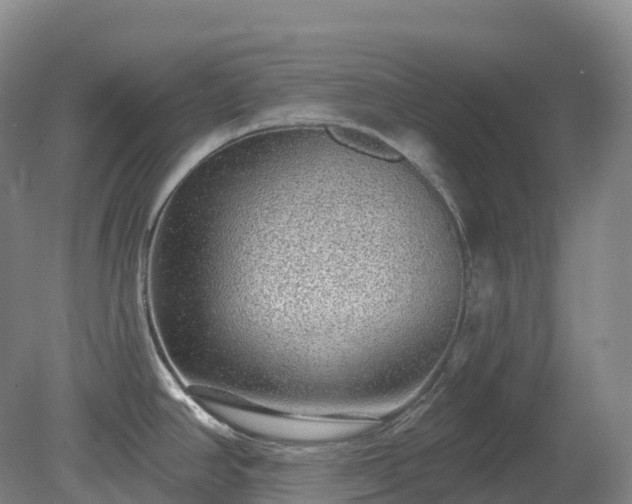 X0000081321390200701181917