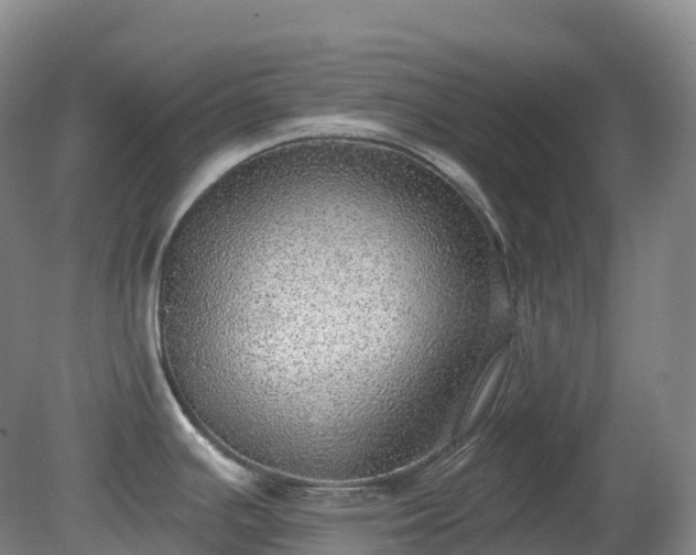 X0000081321391200701181917