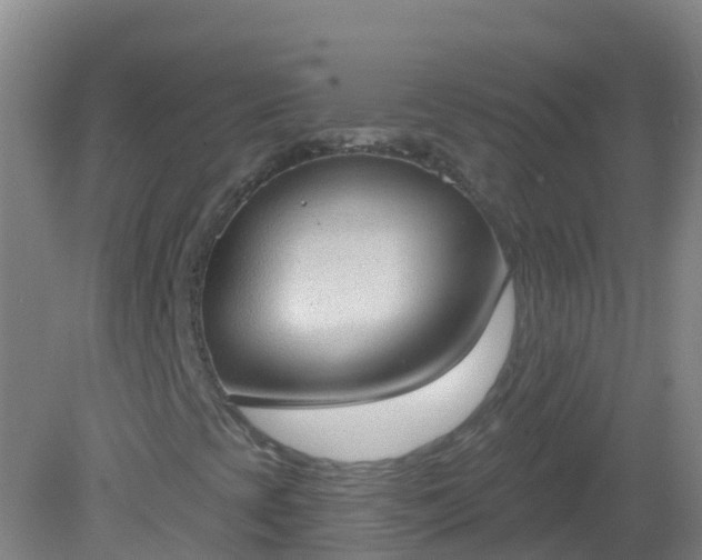 X0000081321393200701181916