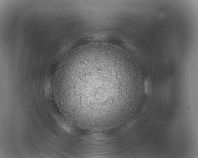 X0000081321395200701181916