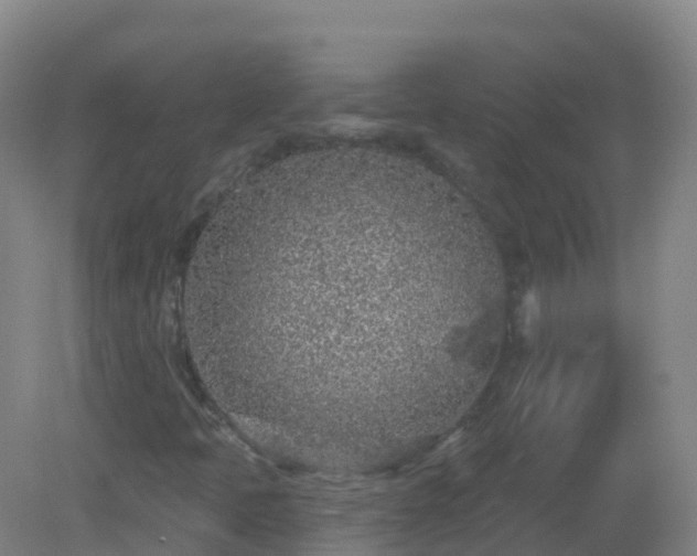 X0000081321397200701181916
