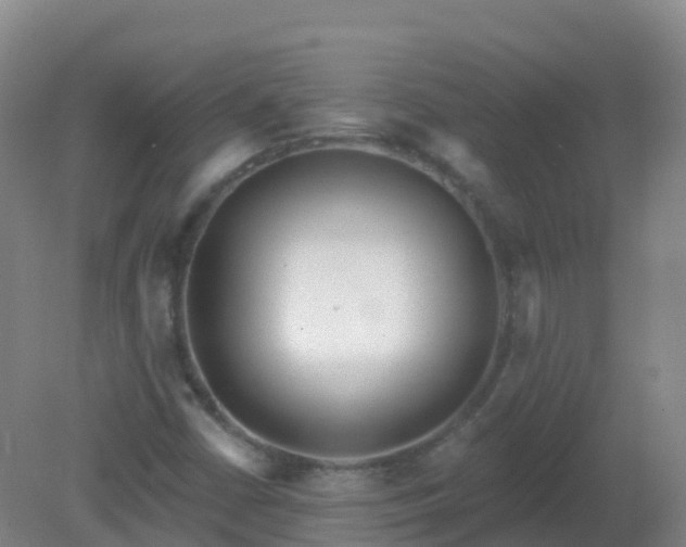 X0000081321402200701181916