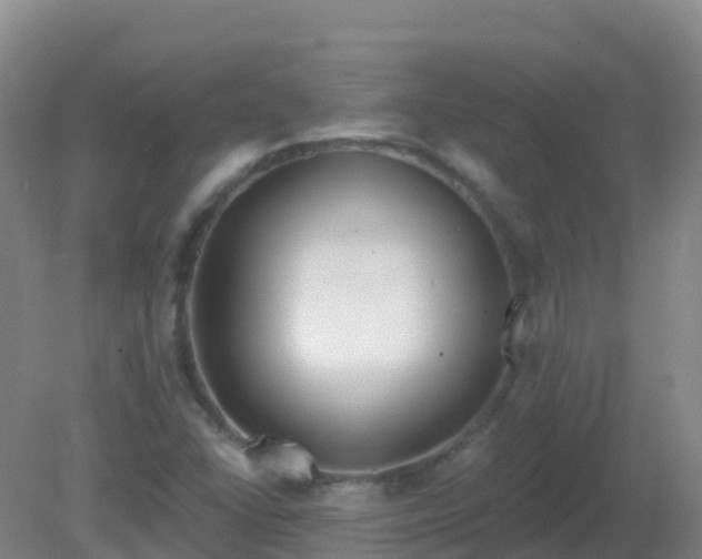 X0000081321406200701181916