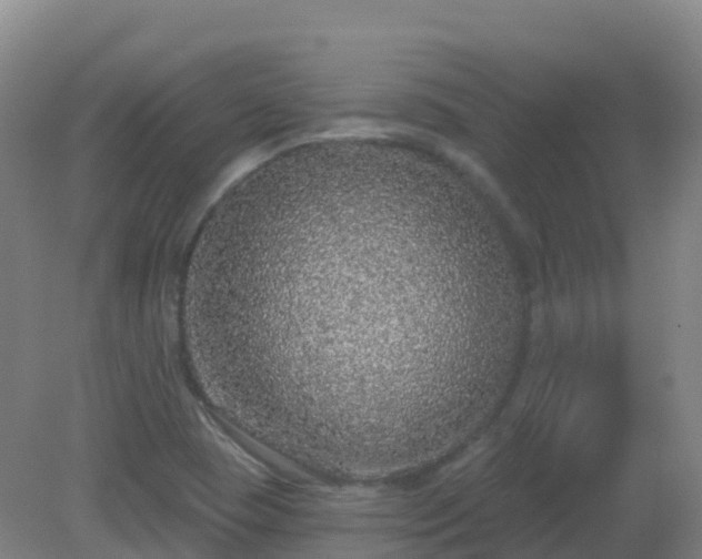 X0000081321409200701181916