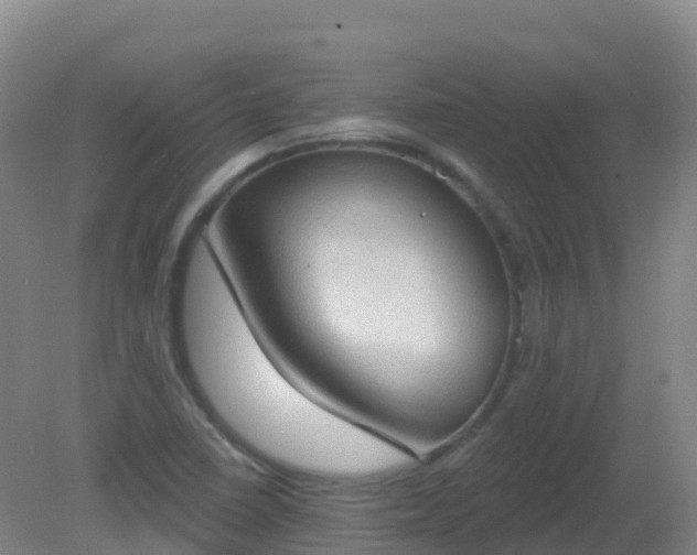 X0000081321410200701181916